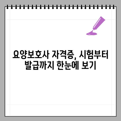 요양보호사 자격증 발급 완벽 가이드| 신청부터 발급까지 모든 정보 | 요양보호사, 자격증, 신청, 발급, 안내