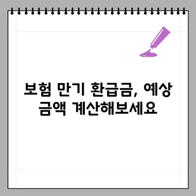 보험 만기 환급금 확인, 어디서? | 사이트 추천 & 조회 방법 & 예상 금액 & 무배당 총정리