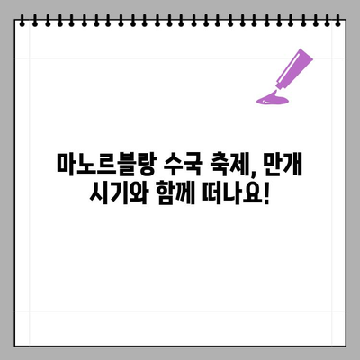 2024 마노르블랑 수국 축제| 개화 정보, 주차, 볼거리 총정리 | 수국, 축제, 가볼만한곳, 경기도