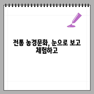 김제 지평선 축제| 하늘과 땅이 만나는 김제평야, 전통 농경문화 체험 | 김제, 지평선, 축제, 벽골제, 농경문화, 체험