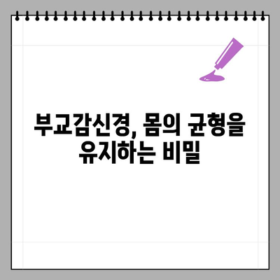 부교감신경 이상 증상, 원인과 치료 방법| 당신의 몸이 보내는 신호를 이해하세요 | 부교감신경, 자율신경, 건강, 질병