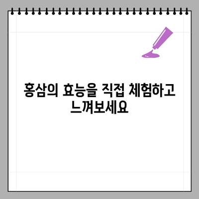 진안홍삼축제| 건강, 힐링, 즐거움이 가득한 축제의 향연 | 진안, 홍삼, 축제, 가족여행, 체험