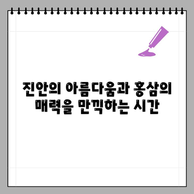 진안홍삼축제| 건강, 힐링, 즐거움이 가득한 축제의 향연 | 진안, 홍삼, 축제, 가족여행, 체험