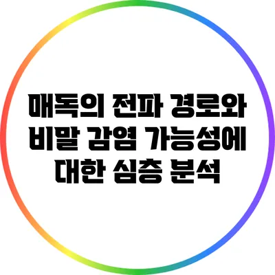 매독의 전파 경로와 비말 감염 가능성에 대한 심층 분석