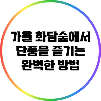 가을 화담숲에서 단풍을 즐기는 완벽한 방법