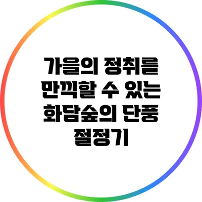 가을의 정취를 만끽할 수 있는 화담숲의 단풍 절정기
