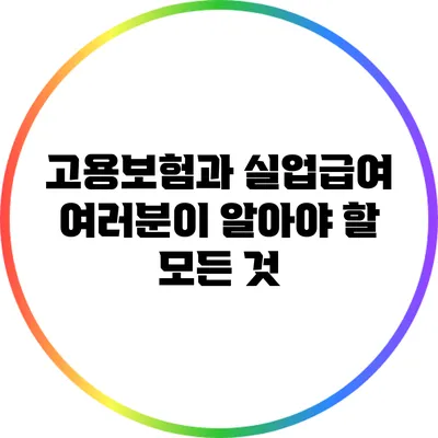 고용보험과 실업급여: 여러분이 알아야 할 모든 것