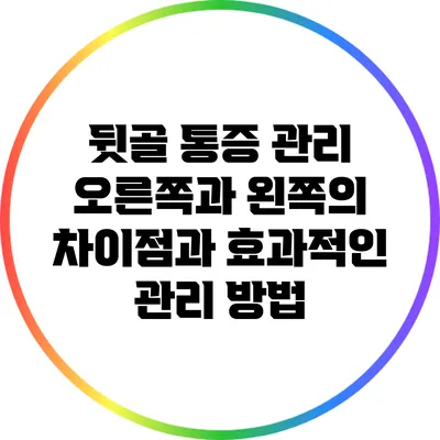 뒷골 통증 관리: 오른쪽과 왼쪽의 차이점과 효과적인 관리 방법