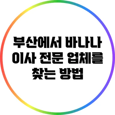 부산에서 바나나 이사 전문 업체를 찾는 방법