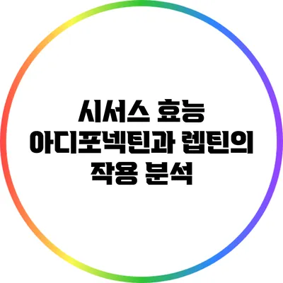 시서스 효능: 아디포넥틴과 렙틴의 작용 분석