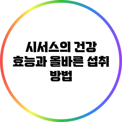 시서스의 건강 효능과 올바른 섭취 방법