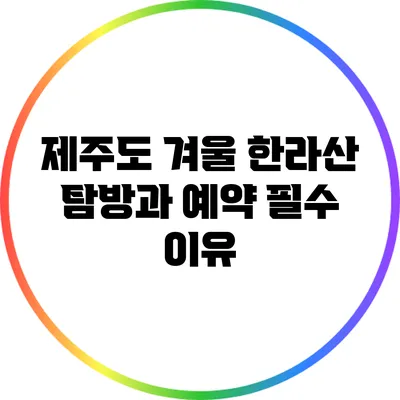 제주도 겨울 한라산 탐방과 예약 필수 이유