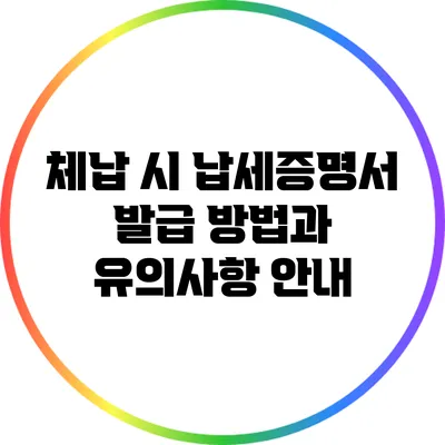 체납 시 납세증명서 발급 방법과 유의사항 안내
