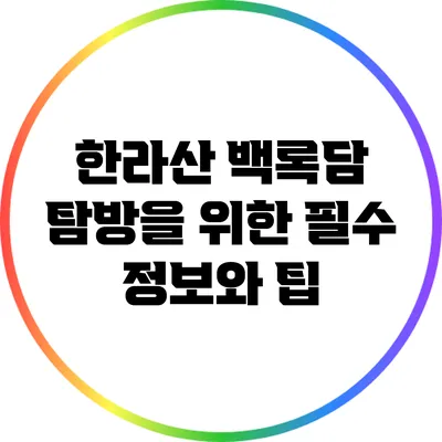 한라산 백록담 탐방을 위한 필수 정보와 팁
