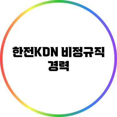 한전KDN 비정규직 경력