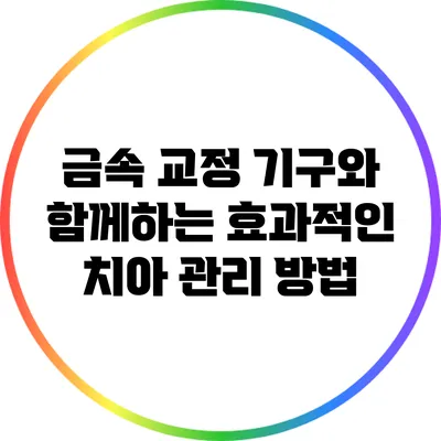 금속 교정 기구와 함께하는 효과적인 치아 관리 방법