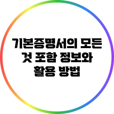 기본증명서의 모든 것: 포함 정보와 활용 방법