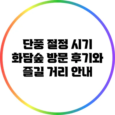 단풍 절정 시기 화담숲 방문 후기와 즐길 거리 안내