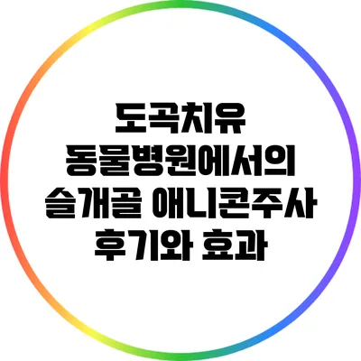 도곡치유 동물병원에서의 슬개골 애니콘주사 후기와 효과