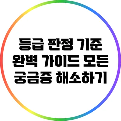 등급 판정 기준 완벽 가이드: 모든 궁금증 해소하기