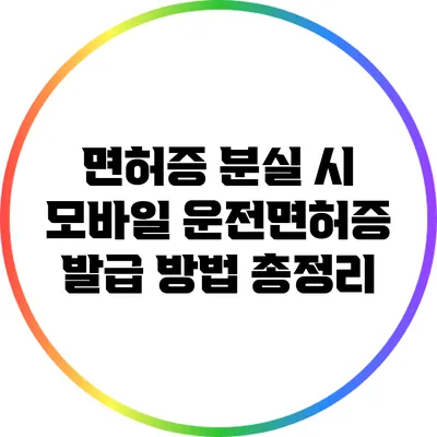 면허증 분실 시 모바일 운전면허증 발급 방법 총정리