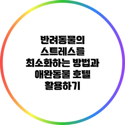반려동물의 스트레스를 최소화하는 방법과 애완동물 호텔 활용하기