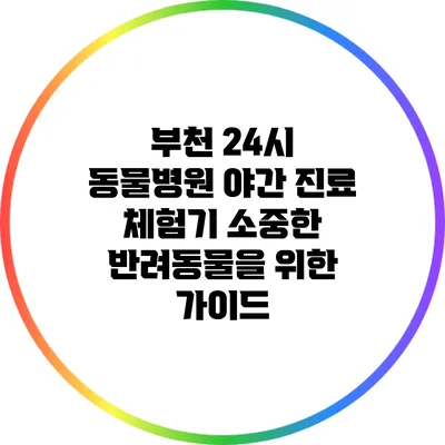 부천 24시 동물병원 야간 진료 체험기: 소중한 반려동물을 위한 가이드