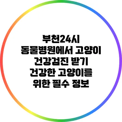 부천24시 동물병원에서 고양이 건강검진 받기: 건강한 고양이를 위한 필수 정보