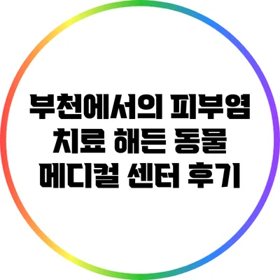 부천에서의 피부염 치료: 해든 동물 메디컬 센터 후기
