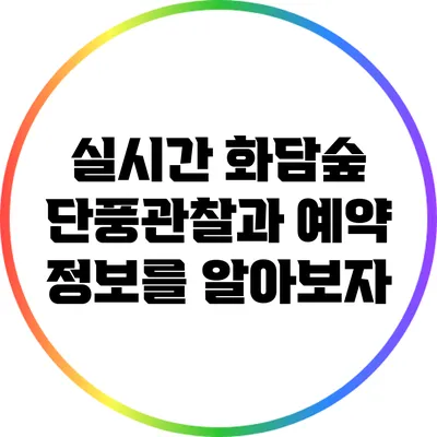 실시간 화담숲 단풍관찰과 예약 정보를 알아보자