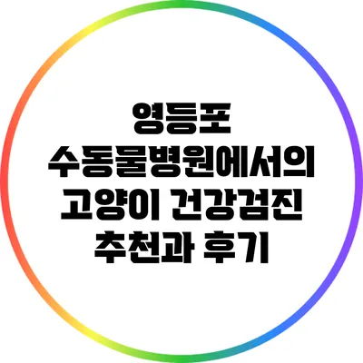 영등포 수동물병원에서의 고양이 건강검진: 추천과 후기