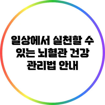 일상에서 실천할 수 있는 뇌혈관 건강 관리법 안내