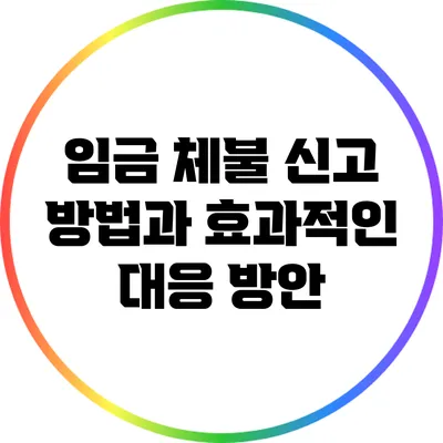임금 체불 신고 방법과 효과적인 대응 방안