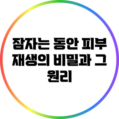 잠자는 동안 피부 재생의 비밀과 그 원리