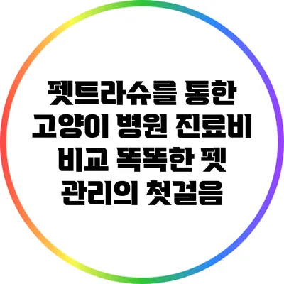 펫트라슈를 통한 고양이 병원 진료비 비교: 똑똑한 펫 관리의 첫걸음