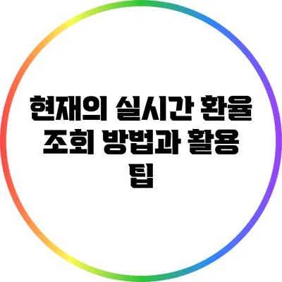 현재의 실시간 환율 조회 방법과 활용 팁