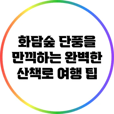화담숲 단풍을 만끽하는 완벽한 산책로 여행 팁