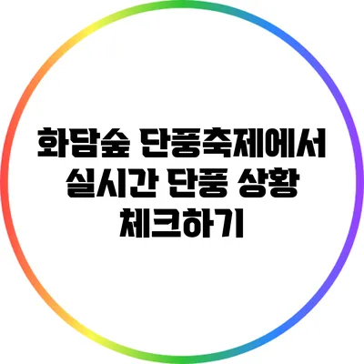 화담숲 단풍축제에서 실시간 단풍 상황 체크하기