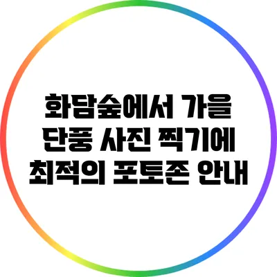 화담숲에서 가을 단풍 사진 찍기에 최적의 포토존 안내