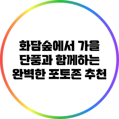 화담숲에서 가을 단풍과 함께하는 완벽한 포토존 추천