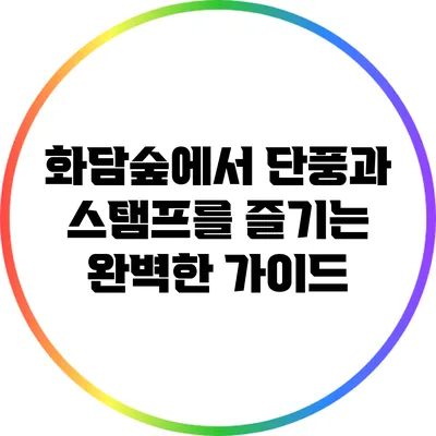 화담숲에서 단풍과 스탬프를 즐기는 완벽한 가이드