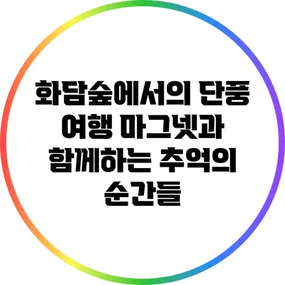 화담숲에서의 단풍 여행: 마그넷과 함께하는 추억의 순간들