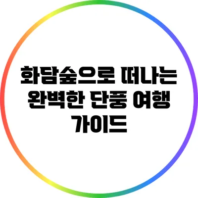 화담숲으로 떠나는 완벽한 단풍 여행 가이드