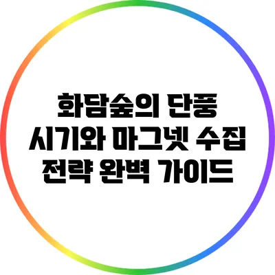 화담숲의 단풍 시기와 마그넷 수집 전략 완벽 가이드