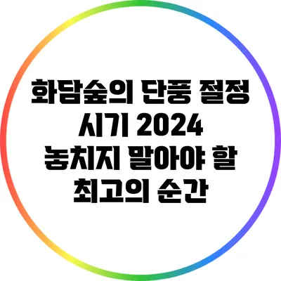 화담숲의 단풍 절정 시기 2024: 놓치지 말아야 할 최고의 순간