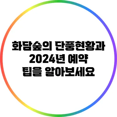 화담숲의 단풍현황과 2024년 예약 팁을 알아보세요