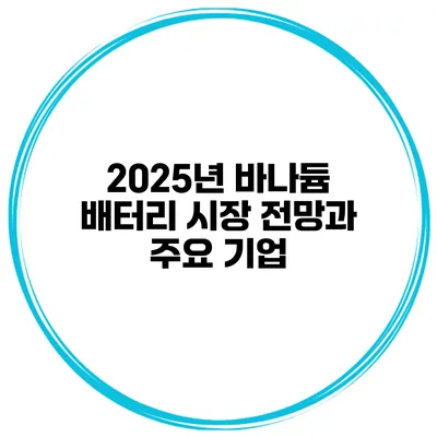 2025년 바나듐 배터리 시장 전망과 주요 기업