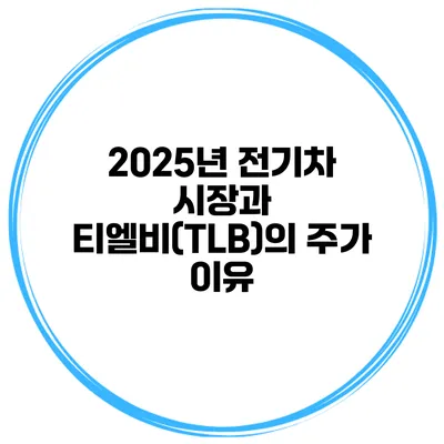 2025년 전기차 시장과 티엘비(TLB)의 주가 이유