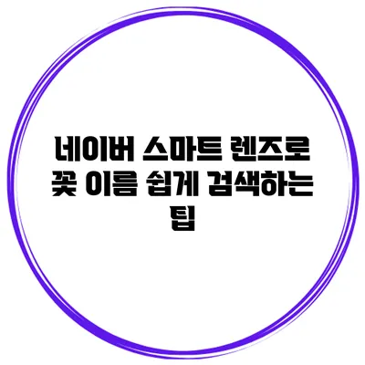 네이버 스마트 렌즈로 꽃 이름 쉽게 검색하는 팁