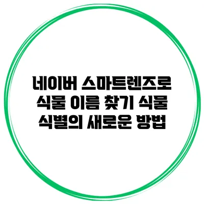 네이버 스마트렌즈로 식물 이름 찾기: 식물 식별의 새로운 방법